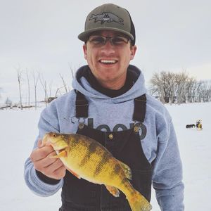 Meet your Posher, Alec